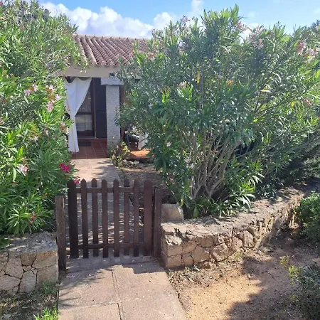 Cesar Daire Costa Paradiso